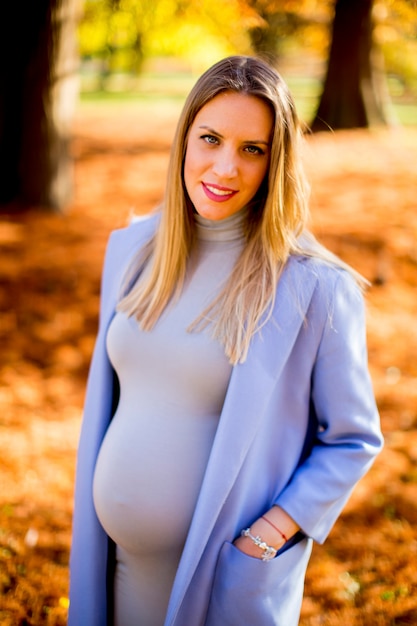 Photo pregnant woman posing in the park