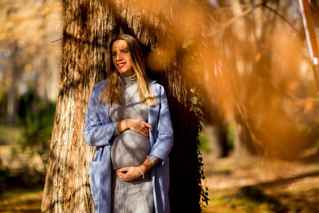 Donna incinta che posa nel parco