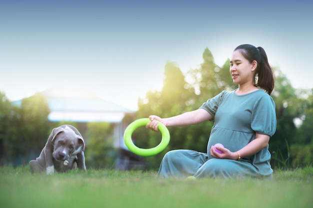 家で犬と一緒に座っている妊婦、面白くてかわいいアメリカのいじめっ子犬の子犬、犬のお母さん幸せな家族