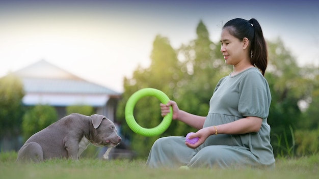 家で犬と一緒に座っている妊婦、面白くてかわいいアメリカのいじめっ子犬の子犬、犬のお母さん幸せな家族