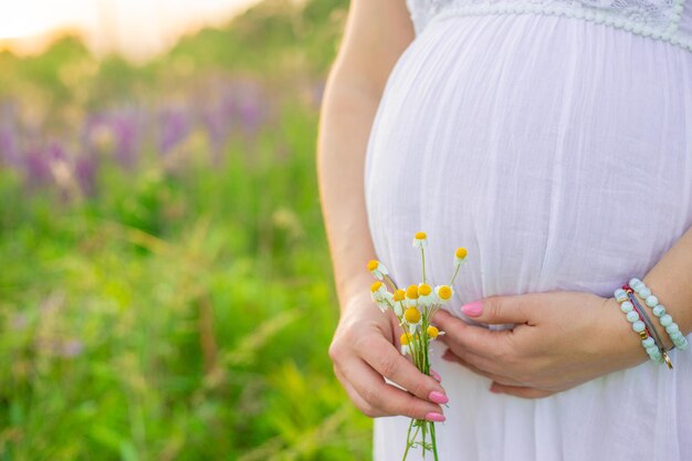 手にカモミールを持つ妊婦セレクティブフォーカス