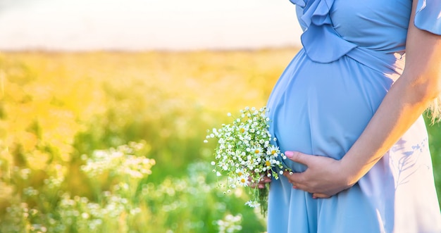 Pregnant woman with camomiles in hands