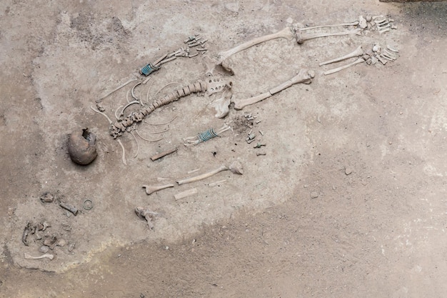 Photo prehistoric human skeleton between 15003000 years old at ban prasat archaeological site non sung district nakhon ratchasima province thailand