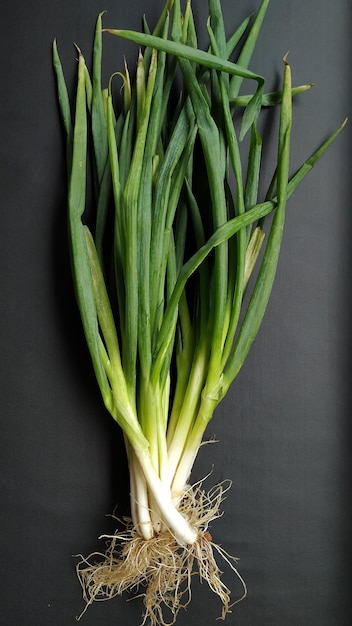 Foto prei of daun bawang in indonesië op zwarte geïsoleerde achtergrond