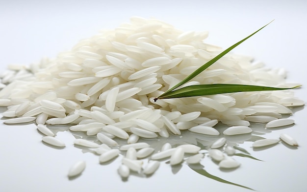 Premium Rice Attention to Detail Catalog Generative By Ai