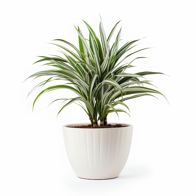 Photo premium white plant pot with plant