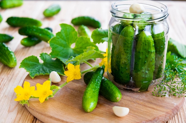 ハーブにんにくとディルを使った塩辛いきゅうりのピクルスの準備きれいに食べる菜食主義の食べ物