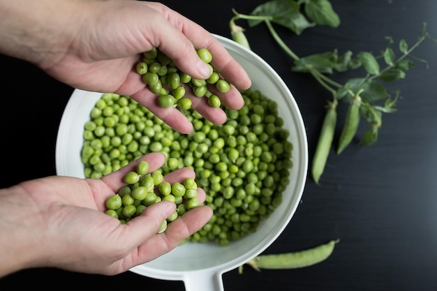 Preparation and processing of harvested homemade organic green peas in pods and shelled