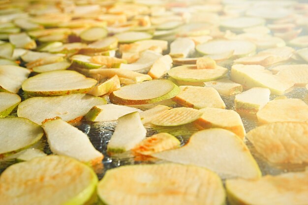 Preparati per l'inverno da vari frutti assortimento di chips di mele e pere snack vegano salutare