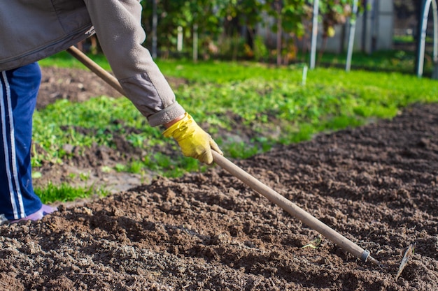 Preparing an agricultural field for planting seasonal vegetables and fruits in spring. Garden seasonal work concept