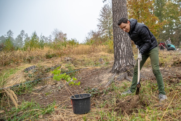 Preparing holes in the forest for planting young trees