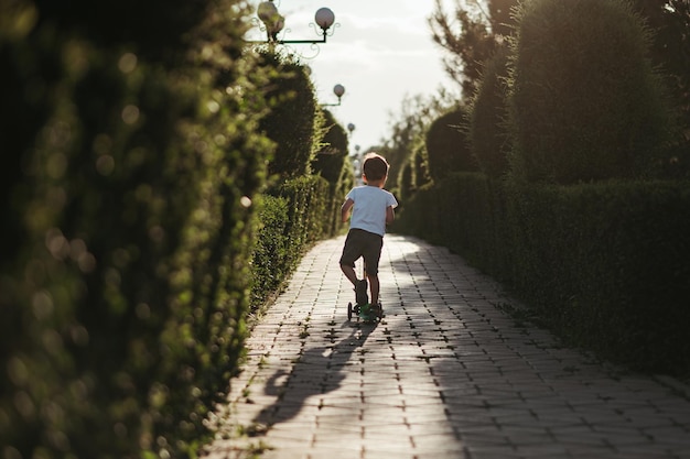 preschooler boy rides a scooter in the park in the summer