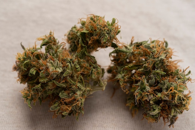 Prescription medical marijuana flower. Cannabis bud. Medical marijuana strain. Dispensary menu.