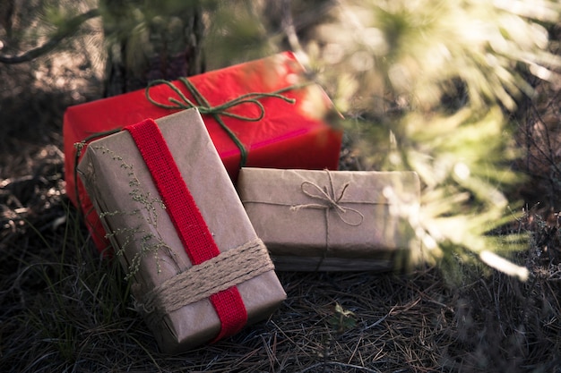 Photo present boxes under tree