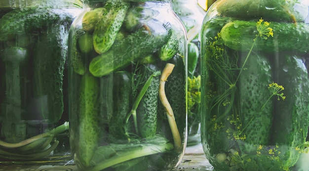 Preservation of fresh house cucumbers. Selective focus.