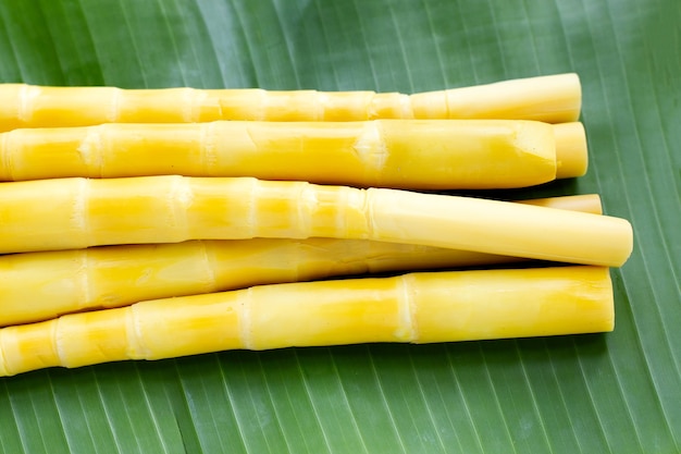 Preserved bamboo shoot on banana leaf