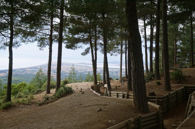 Preserved trenches at Lone Pine Anzac Cove Gallipoli