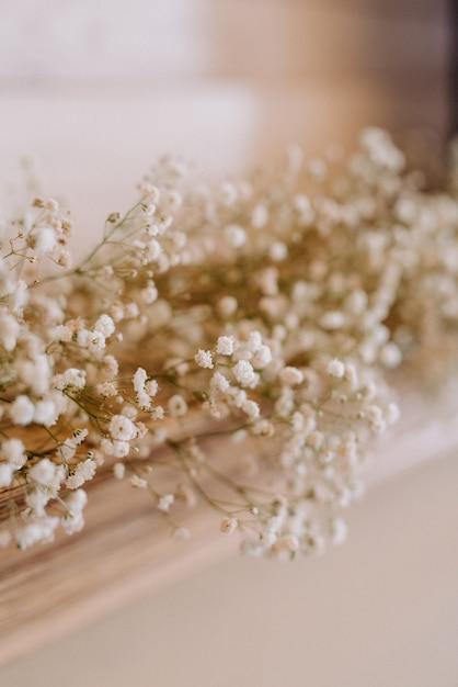 Foto il presidio degli sposi nella sala banchetti del ristorante è decorato con candele e piante verdi, il tono generale della sala è beige