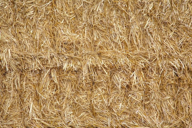 The pressed straw texture and background