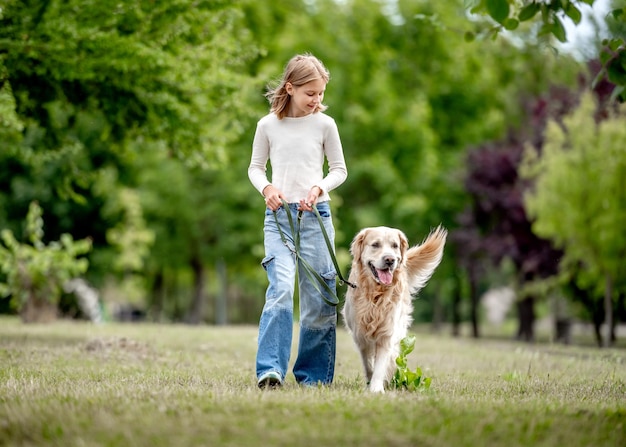 Preteen girl with golden retriever dog walking at nature Cute child kid with purebred pet doggy labrador in park at summer