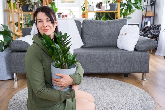 Pretentieloze en populaire Zamioculcas in de handen van een vrouw in het interieur van een groen huis met rekkencollecties huisplanten Productie van eigen gewassen