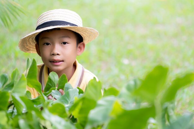 自然公園で帽子をかぶっているかなりアジアの男の子子供