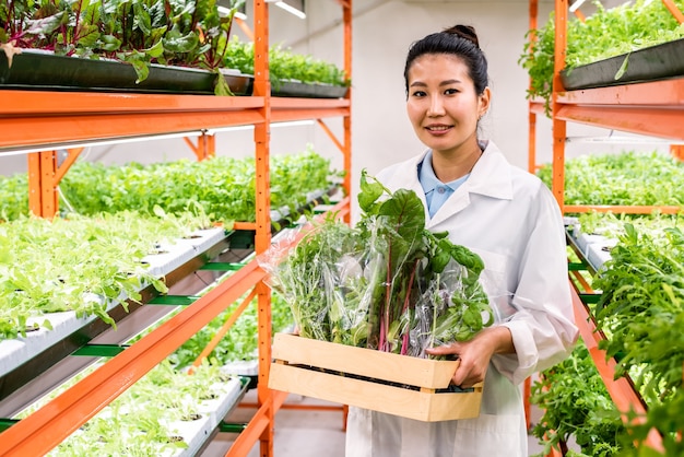 苗のある棚の間の通路に沿って移動する木製の箱に新鮮な有機食品を詰めたかなりアジアの女性農学者