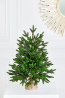 Довольно густая датская рождественская елка без украшений в большом горшке, завернутом в мешковину, с местом для вашего сообщения на белом фоне