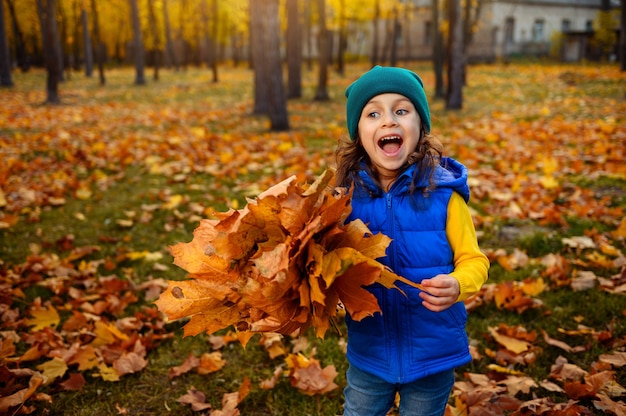 Pretty child baby girl with collected autumnal maple leaves bouquet cutely smiles and laughs standing among golden fallen leaves on an autumn nature background with sun rays falling on a forest park