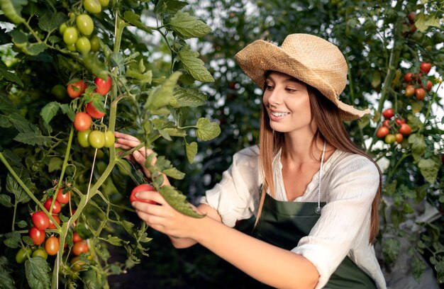 Pretty female agricultural worker cropping fresh