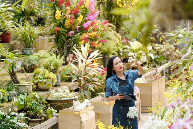 デジタルタブレットを持って歩き回り、植物の品質をチェックしているきれいな女性の保育園の庭師