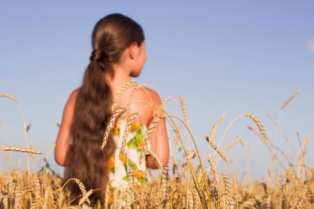 pretty girl with long dark hair is walking in golden wheat field