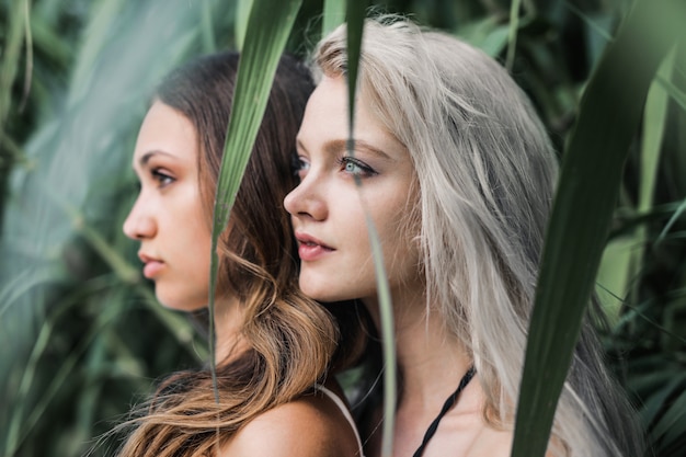 Foto belle ragazze in natura