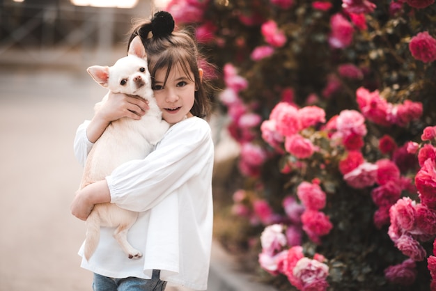 Pretty little child girl holding chihuhua pet dog posing over flower