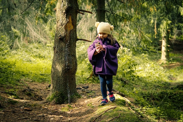 Pretty little girl collecting fir cones and walking at autumn forest