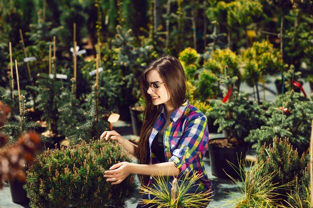 Donna graziosa che sceglie e che compra le piante verdi per il giardino.