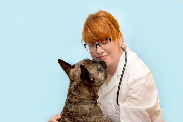 Pretty woman veterinarian with glasses hugging french bulldog on blue background