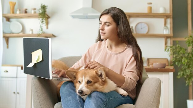 Foto una bella donna che lavora con un laptop e accarezza una donna cane carina sentendosi spensierata e felice