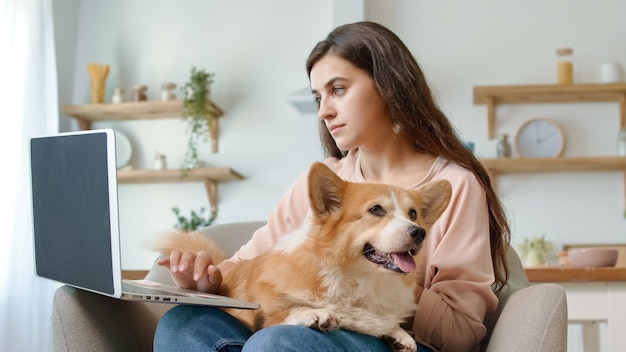 ノートパソコンで作業し、かわいい犬を撫でるきれいな女性。のんきで幸せな女性。