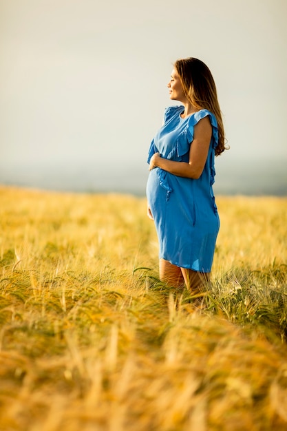 Pretty young pregnant woman in blue dress relaxing outside in nature at summer day