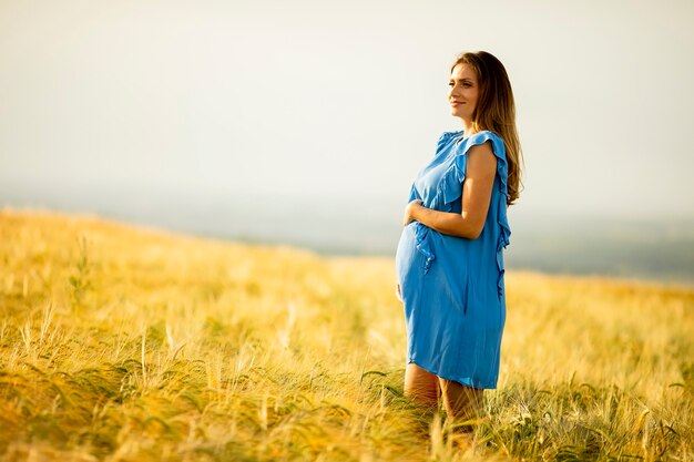 Pretty young pregnant woman in blue dress relaxing outside in nature at summer day