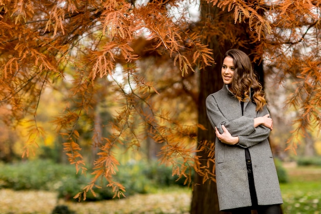 Pretty young woman in the autumn forest