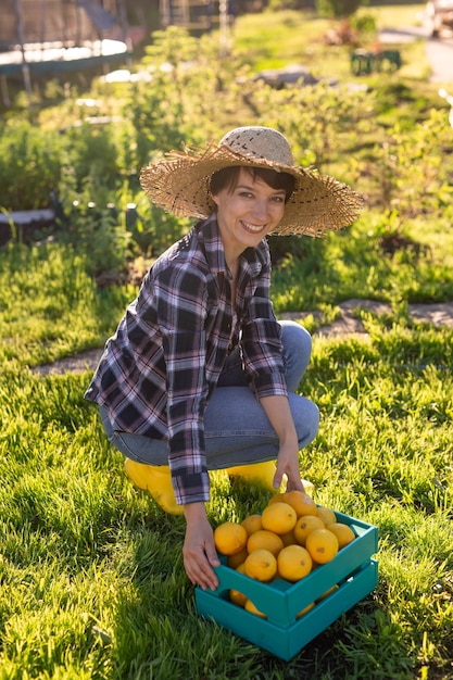Довольно молодая женщина-садовник в шляпе собирает лимоны в корзине в своем огороде