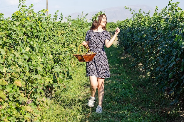 pretty young woman in vineyard woman in the nature