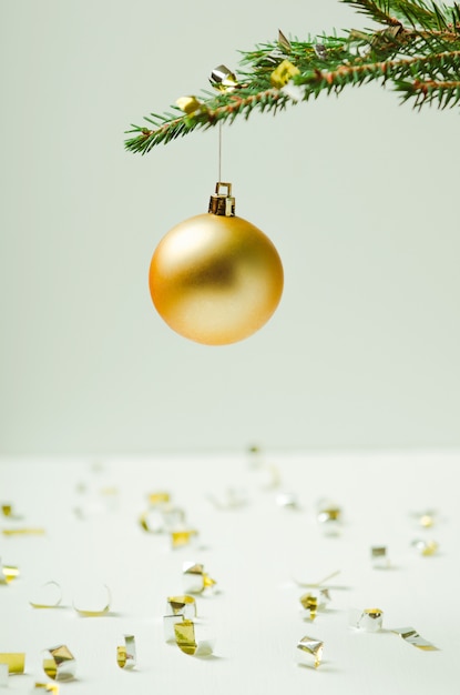 Prickly Christmas tree branch on a light background