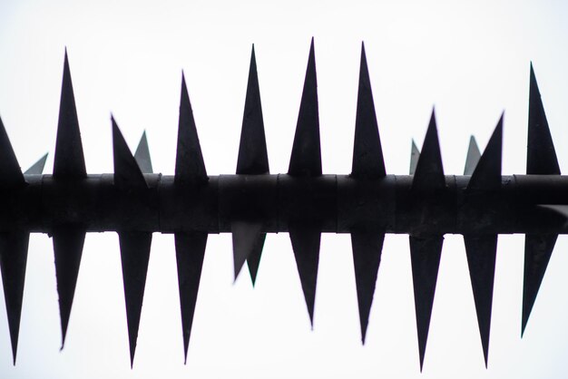 Prickly depression concept A fence with sharp long metal spikes on a white background Heaviness negative