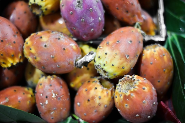 prickly pear cactus fruits in the market