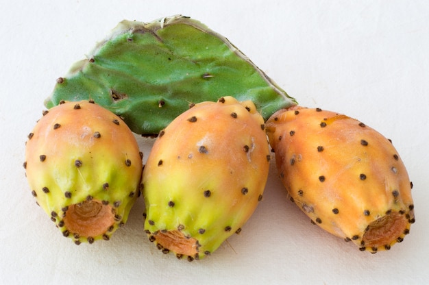 Prickly Pear Cactus Fruits