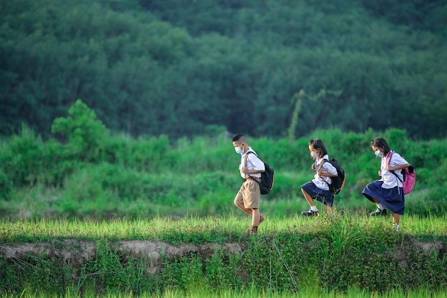 Primary school students walking to school