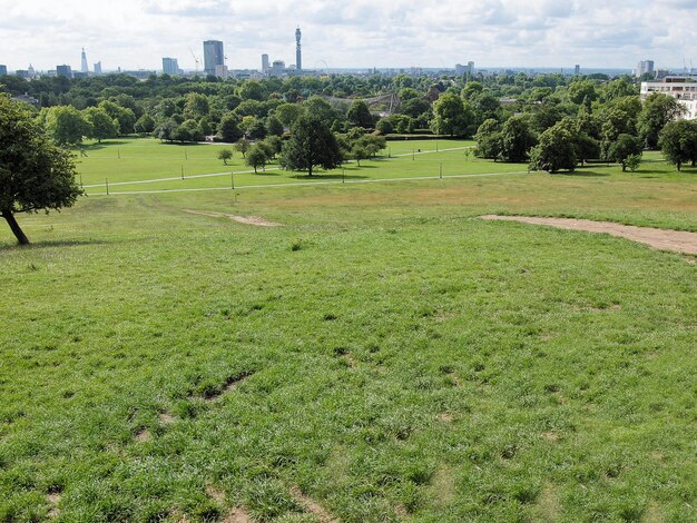 Primrose Hill Londen